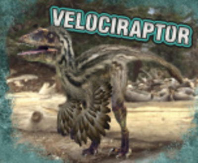 Velociraptor - Dinosaurs - Tammy Gagne - Książki - Capstone Global Library Ltd - 9781474752268 - 26 grudnia 2019