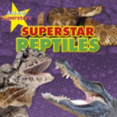 Cover for Louise Spilsbury · Reptile Superstars - Animal Superstars (Taschenbuch) (2019)