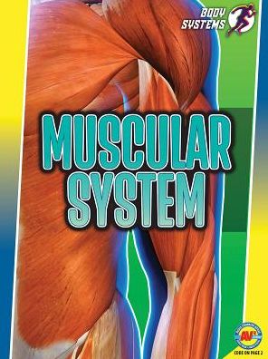 Cover for Simon Rose · Muscular System (Book) (2019)