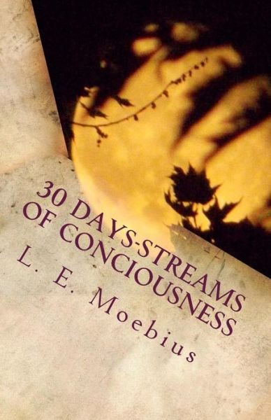 Cover for L E Moebius · 30 Days-Streams of Conciousness (Paperback Bog) (2016)