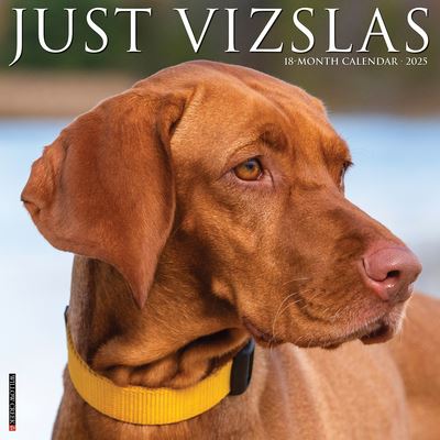 Willow Creek Press · Just Vizslas 2025 12 X 12 Wall Calendar (Calendar) (2024)