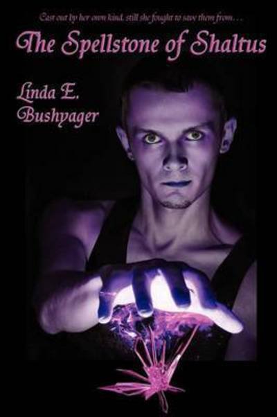 Cover for Linda E Bushyager · The Spellstone of Shaltus (Paperback Book) (2010)