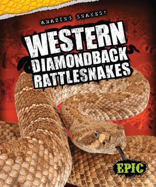 Cover for Chris Bowman · Western Diamondback Rattlesnakes (Amazing Snakes!) (Hardcover Book) (2014)