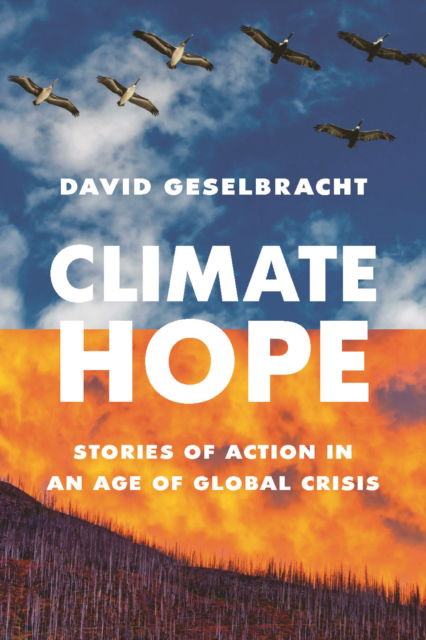 Cover for David Geselbracht · Climate Hope: Stories of Action in an Age of Global Crisis (Paperback Book) (2025)