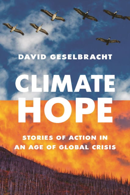 Climate Hope: Stories of Action in an Age of Global Crisis - David Geselbracht - Boeken - Douglas & McIntyre - 9781771624268 - 22 mei 2025