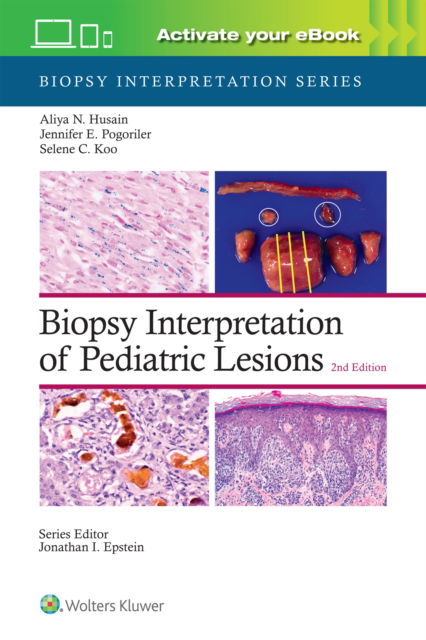 Cover for Husain, Aliya Noor, M.d. · Biopsy Interpretation of Pediatric Lesions: Print + eBook with Multimedia - Biopsy Interpretation Series (Hardcover Book) (2024)