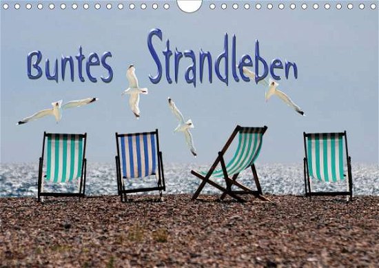 Cover for Bleicher · Buntes Strandleben (Wandkalend (Book)