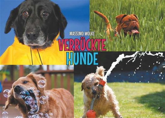 Cover for Wolke · Verrückte Hunde (Buch)