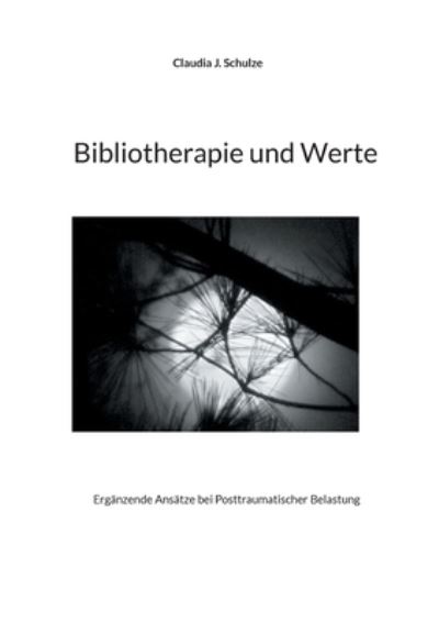 Cover for Claudia J. Schulze · Bibliotherapie und Werte (Paperback Book) (2021)
