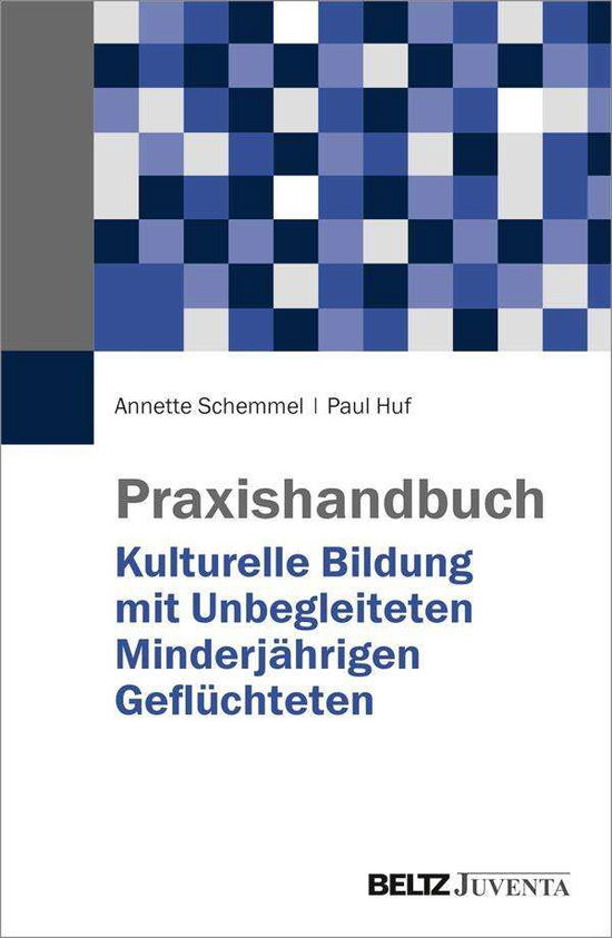 Cover for Schemmel · Praxishandbuch Kulturelle Bild (Book)