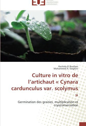 Cover for Mohammed A. Serghini · Culture in Vitro De L'artichaut  « Cynara Cardunculus Var. Scolymus »: Germination Des Graines, Multiplication et Cryoconservation (Paperback Book) [French edition] (2018)