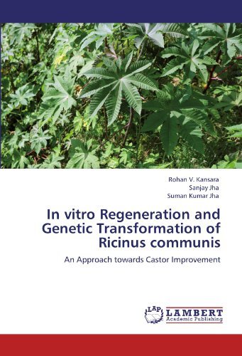 Cover for Suman Kumar Jha · In Vitro Regeneration and Genetic Transformation of Ricinus Communis: an Approach Towards Castor Improvement (Paperback Bog) (2012)
