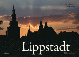 Cover for Sandra Püttmann · Lippstadt (Hardcover Book) (2019)