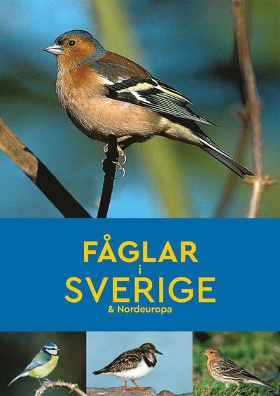 Cover for Peter Goodfellow · Fåglar i Sverige &amp; Nordeuropa (Bok) (2022)