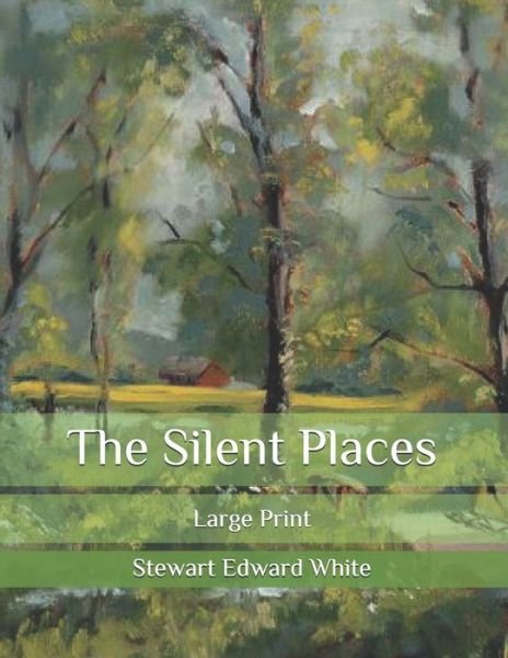Cover for Stewart Edward White · The Silent Places (Pocketbok) (2020)