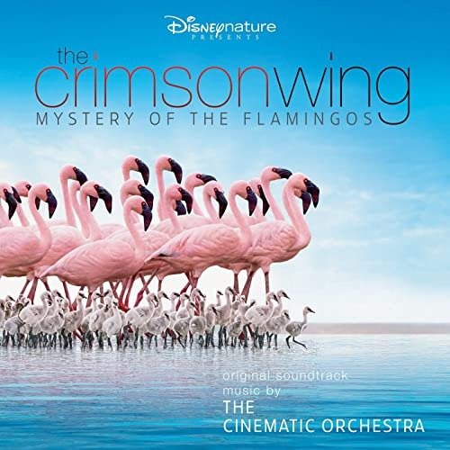 Cover for Cinematic Orchestra · Crimson Wing: Mystery Of The Flamingos (LP) [Reissue edition] (2020)