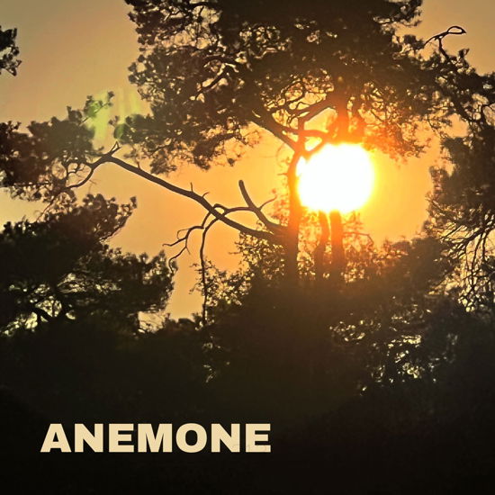 Cover for Anemone · Freebird (LP) (2023)