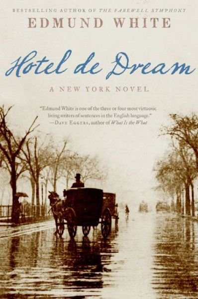 Cover for Edmund White · Hotel De Dream: a New York Novel (Taschenbuch) [Reprint edition] (2008)