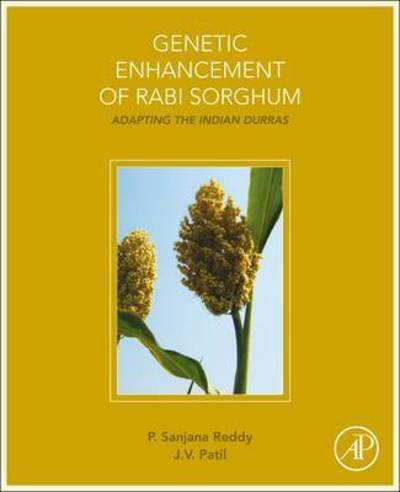 Cover for Reddy, Sanjana (Directorate of Sorghum Research, Hyderabad, India) · Genetic Enhancement of Rabi Sorghum: Adapting the Indian Durras (Paperback Book) (2015)