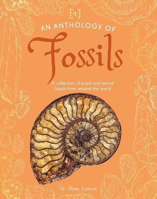 Cover for Dean Lomax · An Anthology of Fossils: A Collection of Plant and Animal Fossils From Around the World - DK Little Anthologies (Hardcover Book) (2025)