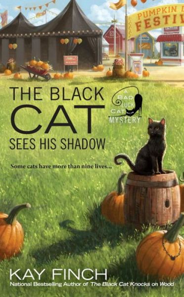 Cover for Kay Finch · The Black Cat Sees His Shadow (Paperback Book) (2017)