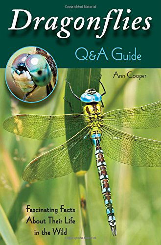 Cover for Ann Cooper · Dragonflies: Q&amp;A Guide: Fascinating Facts about Their Life in the Wild (Paperback Book) (2014)