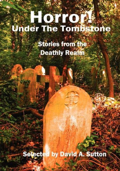 Cover for David A. Riley · Horror! Under the Tombstone (Paperback Book) (2013)