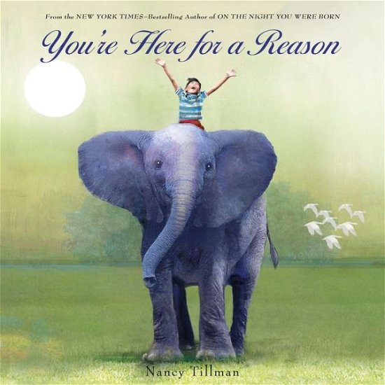 Cover for Nancy Tillman · You're Here for a Reason (Hardcover Book) (2015)