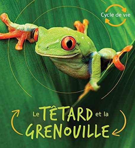 Cover for Camilla de la Bédoyère · Cycle de Vie Le Têtard Et La Grenouille (Taschenbuch) (2020)