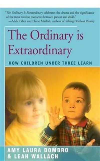 Cover for Amy Laura Dombro · The Ordinary Is Extraordinary (Paperback Book) (2016)