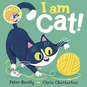 Cover for Peter Bently · I am Cat (Innbunden bok) (2022)