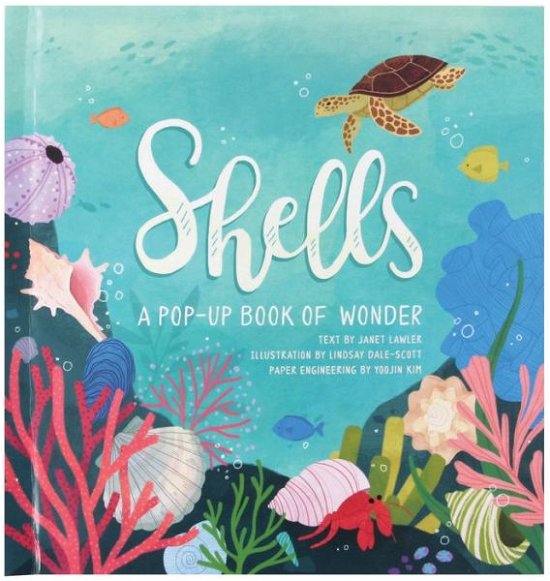 Cover for Janet Lawler · Shells: A Pop-Up Book of Wonder - 4 Seasons of Pop-Up (Hardcover Book) (2019)