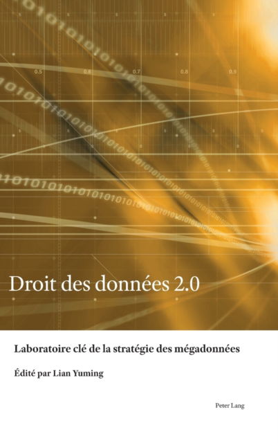 Cover for Laboratoire CLe de la Strategie Des Megadonnees · Droit Des Donnees 2.0: Construction Du Systeme de Droits (Hardcover Book) (2021)