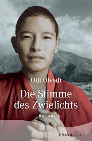 Cover for Ulli Olvedi · Die Stimme des Zwielichts (Paperback Book) (2022)
