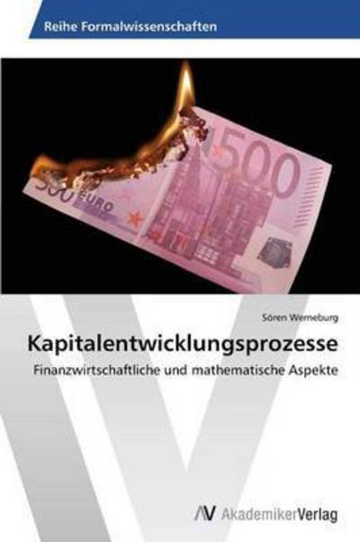 Cover for Werneburg Soren · Kapitalentwicklungsprozesse (Paperback Bog) (2012)