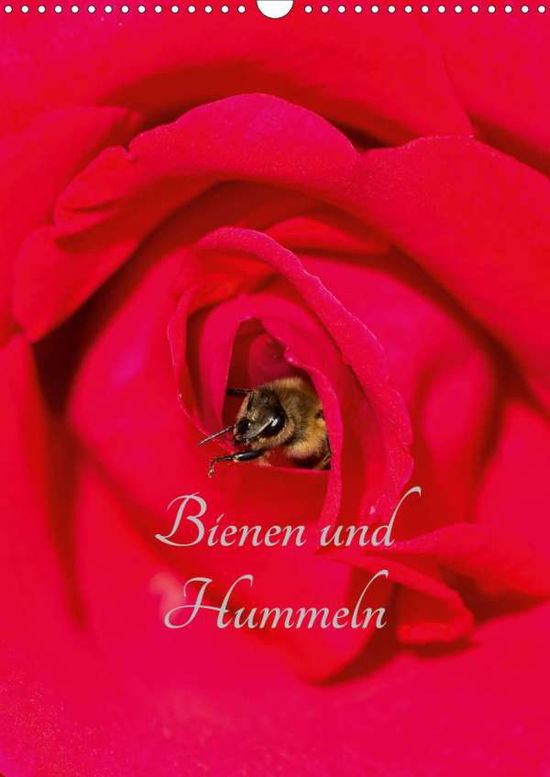 Cover for Bangert · Bienen und Hummeln (Wandkalende (Book)