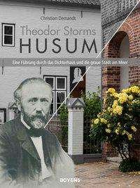 Cover for Demandt · Theodor Storms Husum (Buch)