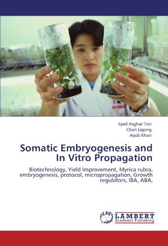 Cover for Ayub Khan · Somatic Embryogenesis and in Vitro Propagation: Biotechnology, Yield Improvement, Myrica Rubra, Embryogenesis, Protocol, Micropropagation, Growth Regulators, Iba, Aba, (Pocketbok) (2012)