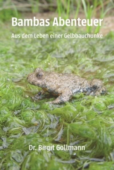 Cover for Birgit Gollmann · Bambas Abenteuer (Paperback Book) (2018)