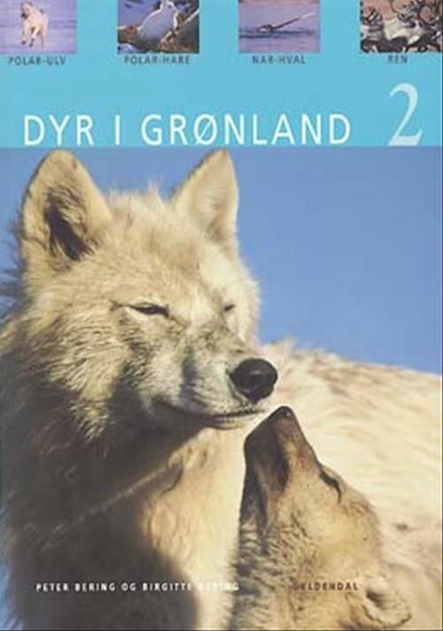 Cover for Peter Bering · Dyr: Dyr i Grønland 2 (Sewn Spine Book) [1º edição] (2005)