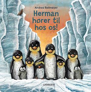 Herman hører til hos os! - Andrea Reitmeyer - Books - Lamberth - 9788772243269 - August 20, 2021