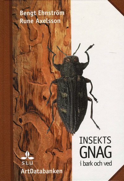 Cover for Bengt Ehnström · Insektsgnag i bark och ved (Hardcover Book) (2002)