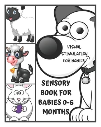 Cover for David Fletcher · Sensory Book for Babies 0-6 Months - Visual Stimulation for Babies (Paperback Book) (2021)