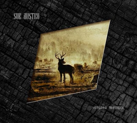 Cover for Sur Austru · Meteahna Timpurilor (CD) (2019)