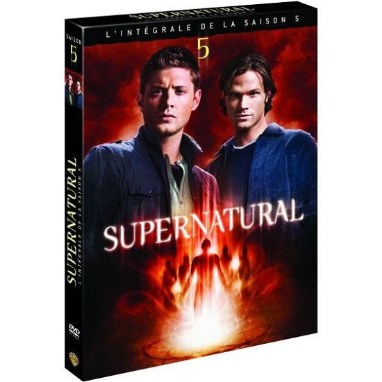 Cover for Supernatural · Supernatural - Saison 5 (DVD)