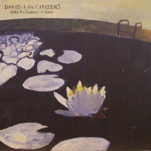 Until the Sadness is Gone - David & the Citizens - Musik - HOT STUFF RECORDS - 7331915022270 - 10. september 2003