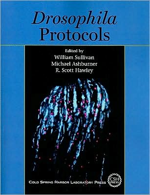 Drosophila Protocols - W Sullivan - Books - Cold Spring Harbor Laboratory Press,U.S. - 9780879698270 - June 23, 2008