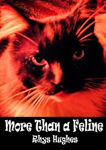 Cover for Rhys Hughes · More Than a Feline (Paperback Book) (2013)