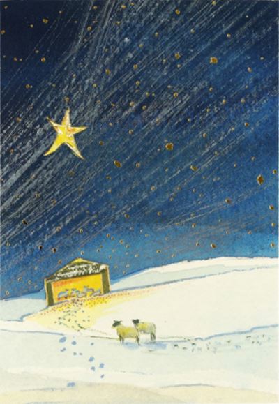 Cover for Peter Pauper Press Inc. · The Guiding Star Small Boxed Holiday Cards (Cards) (2022)