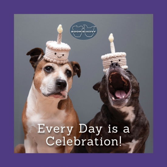 Cover for Jani Oja · Sookie and Ivy Every Day Is a Celebration (Hardcover Book) (2024)